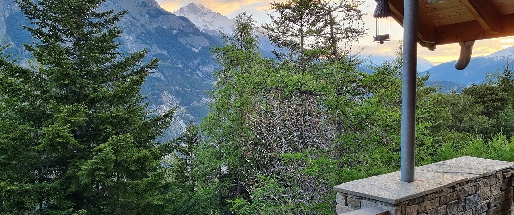 Chalet 96 uitzicht vanaf balkon